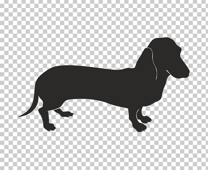 Dachshund Labrador Retriever Pet Sticker PNG, Clipart, Black And White, Carnivoran, Dachshund, Decal, Dog Free PNG Download