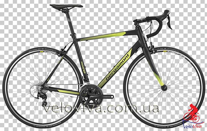 Giant's Giant Bicycles Giant TCR Racing Bicycle PNG, Clipart,  Free PNG Download