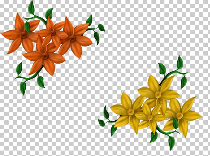 Photography Flower PNG, Clipart, Albom, Author, Ayraclar, Branch, Creativity Free PNG Download