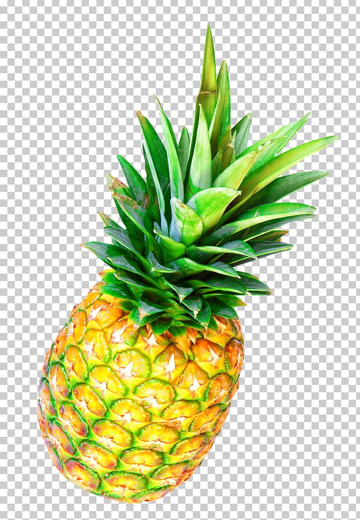 Pineapple Cake Juice Gelatin Dessert Slice PNG, Clipart, Ananas, Apple, Bromeliaceae, Flowering Plant, Flowerpot Free PNG Download