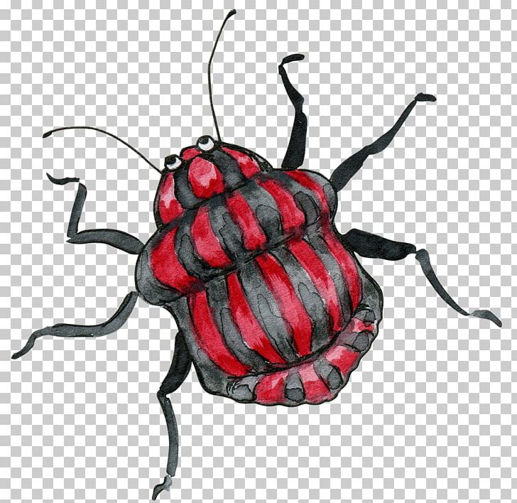 Beetle Cartoon Illustration PNG, Clipart, Animals, Arthropod, Download, Drawing, Free Free PNG Download