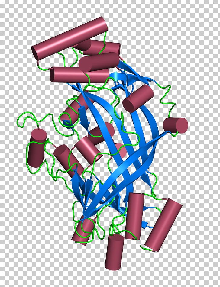 CD36 Protein SCARB2 Cell Transforming Growth Factor Beta PNG, Clipart, Amino Acid, Antigen, Area, Cell, Cluster Of Differentiation Free PNG Download