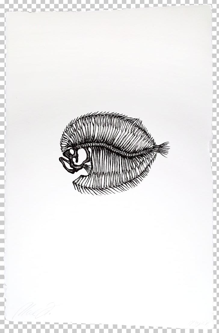 Drawing Silver /m/02csf PNG, Clipart, Black And White, Drawing, Fish, Flat, Invertebrate Free PNG Download