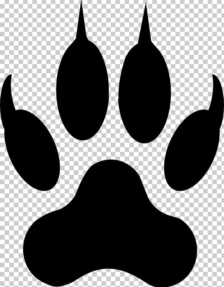 Lion Cougar Cat Paw PNG, Clipart, Animals, Black, Black And White, Cat, Clip Art Free PNG Download