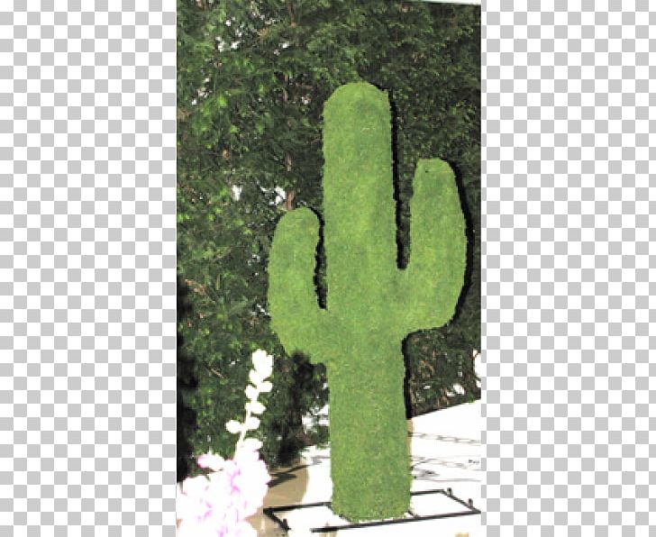 Wire Sculpture Ornament Garden Vase Gazebo PNG, Clipart, Bustwaisthip Measurements, Cactus, Cactus Border, Caryophyllales, Christmas Free PNG Download