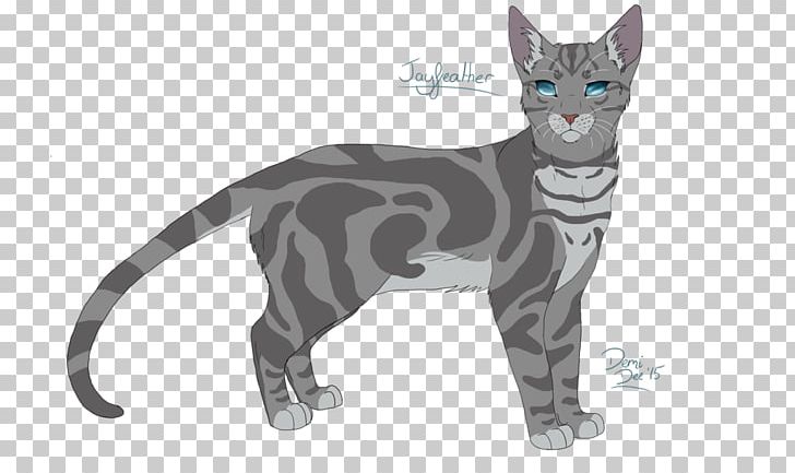 American Wirehair Whiskers Kitten Domestic Short-haired Cat Paw PNG, Clipart, American Wirehair, Animals, Asia, Asian, Asian People Free PNG Download