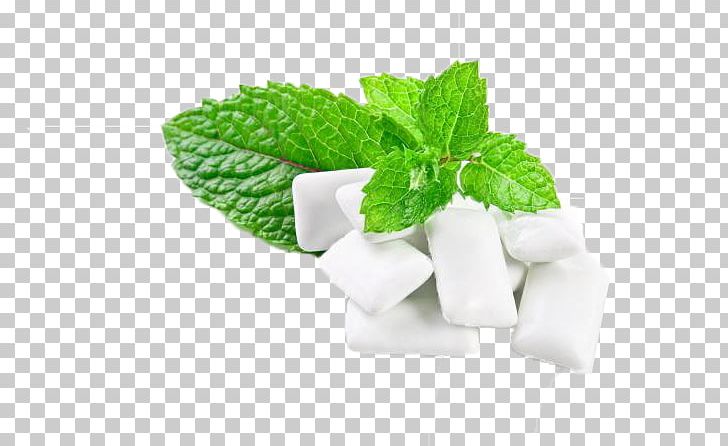 Chewing Gum Peppermint Mentha Spicata Menthol Extra PNG, Clipart,  Free PNG Download