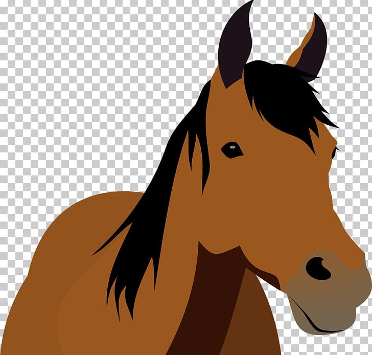 Horse Mare Stallion Equestrian PNG, Clipart, Animals, Bridle, Colt, Desktop Wallpaper, Ear Free PNG Download