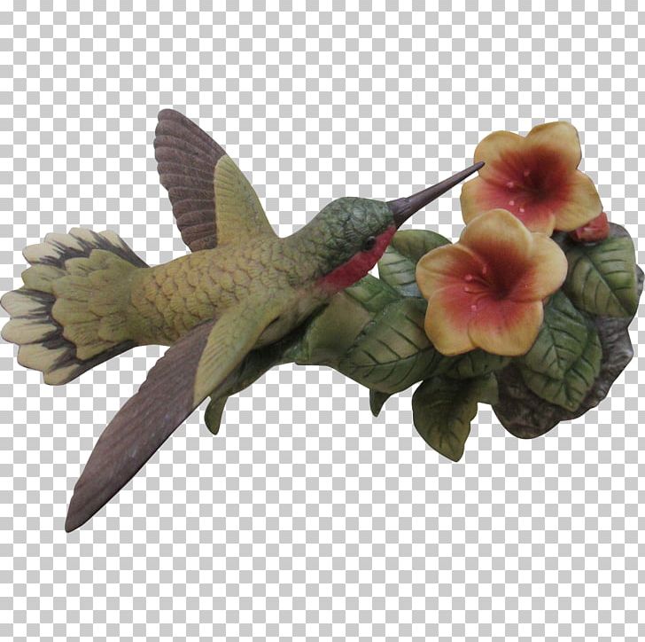 Hummingbird Beak Fauna Pollinator PNG, Clipart, Animals, Beak, Bird, Fauna, Hummingbird Free PNG Download