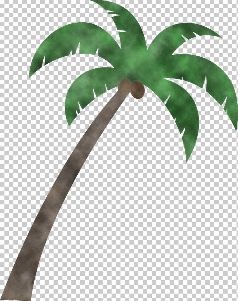 Fruit Tree PNG, Clipart, Adonidia, Archontophoenix Cunninghamiana, Areca Palm, Beach, Branch Free PNG Download