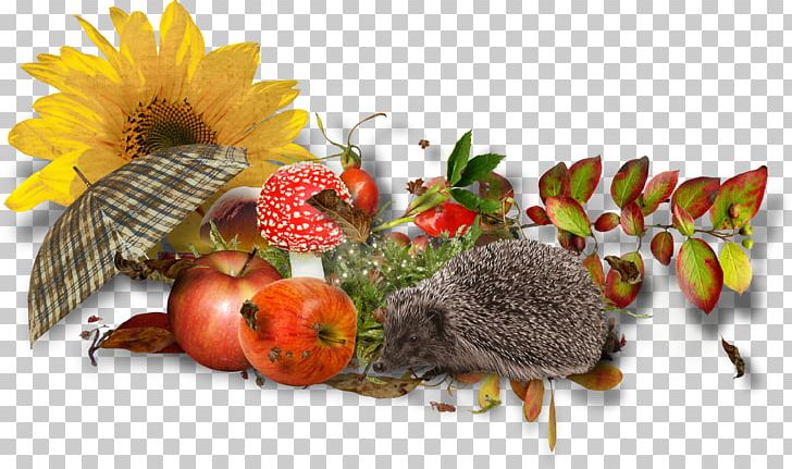 Autumn Cartoon Blog PNG, Clipart, Animal, Animals, Animation, Apple, Autumn Leaves Free PNG Download