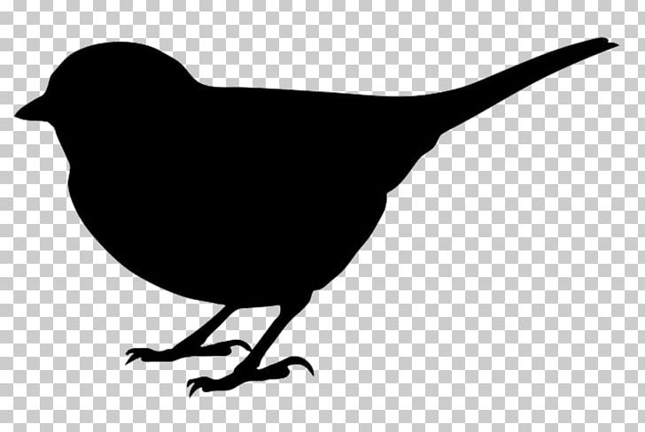 Bird Silhouette Finches Stencil PNG, Clipart, Animals, Art, Beak, Bird, Black And White Free PNG Download