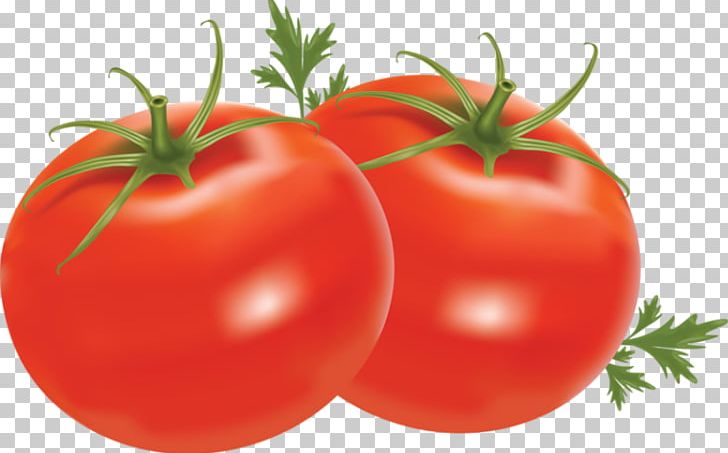 Cherry Tomato PNG, Clipart, Beefsteak Tomato, Bush Tomato, Cherry Tomato, Computer Icons, Diet Food Free PNG Download