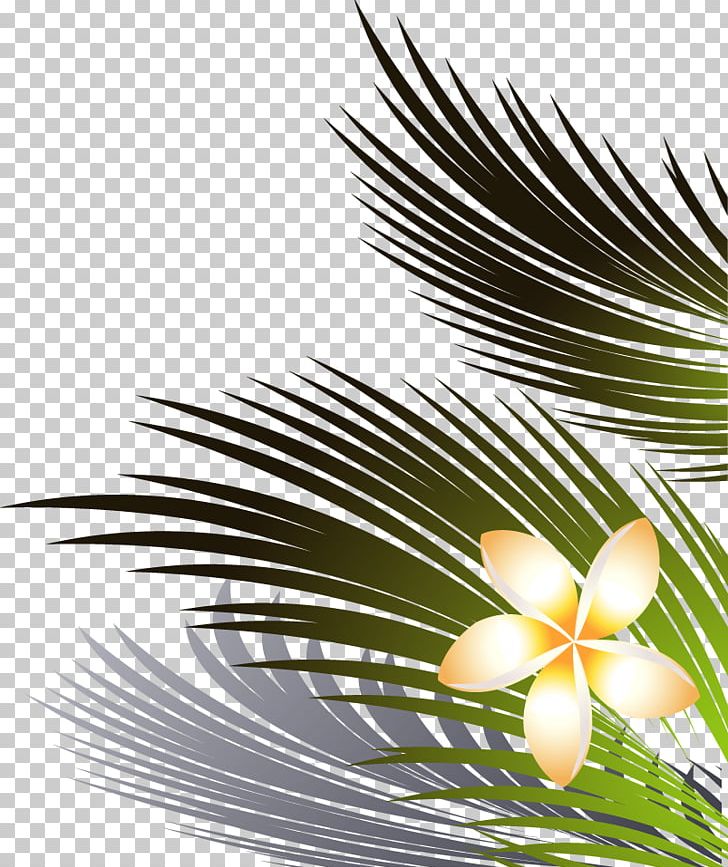 Coconut Leaves And Flowers Right Lower PNG, Clipart, Branch, Closeup, Decorative Pattern, Flora, Flower Free PNG Download