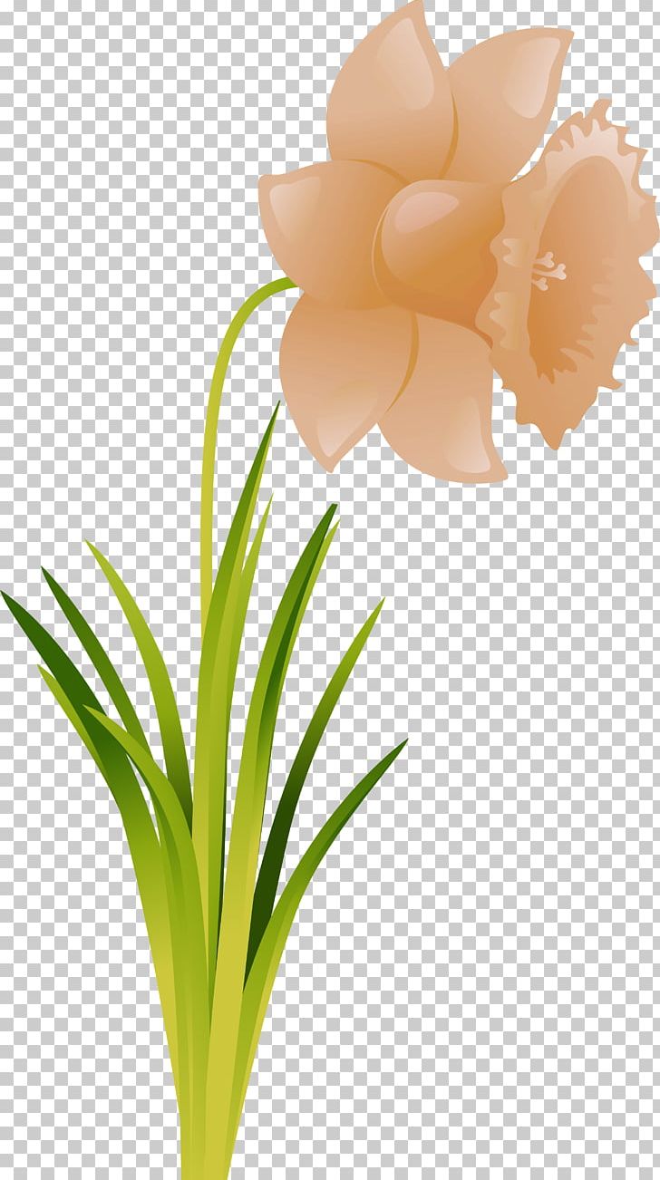 Cut Flowers Flowering Plant .ru PNG, Clipart, Amaryllis, Amaryllis Family, Cut Flowers, Floral Design, Flower Free PNG Download