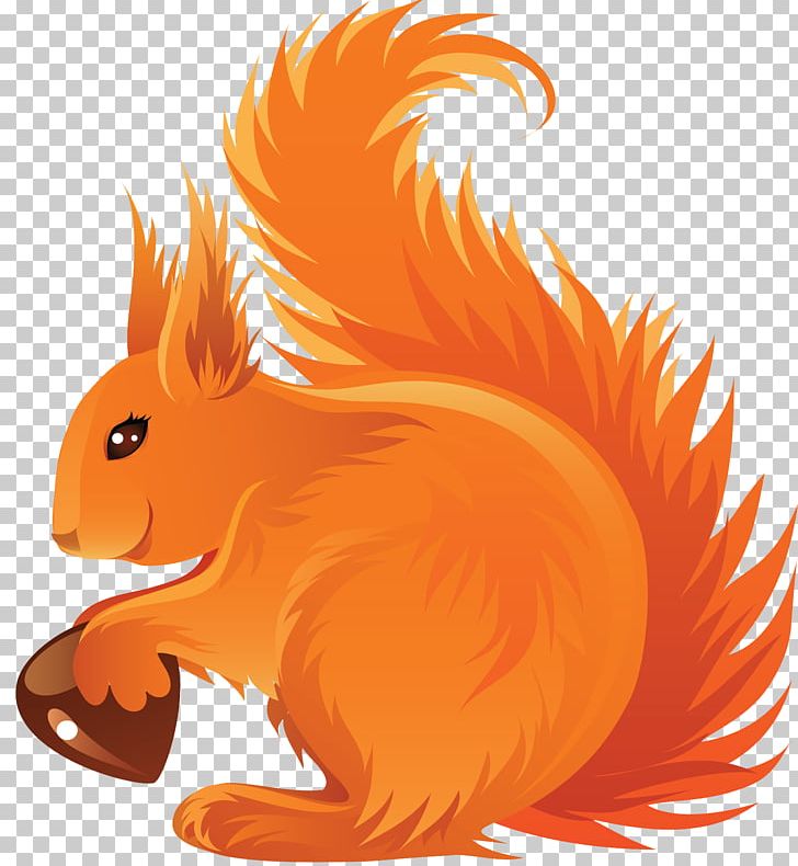 Drawing Acorn Red Squirrel PNG, Clipart, Animal, Carnivoran, Cartoon, Dog Like Mammal, Eastern Gray Squirrel Free PNG Download