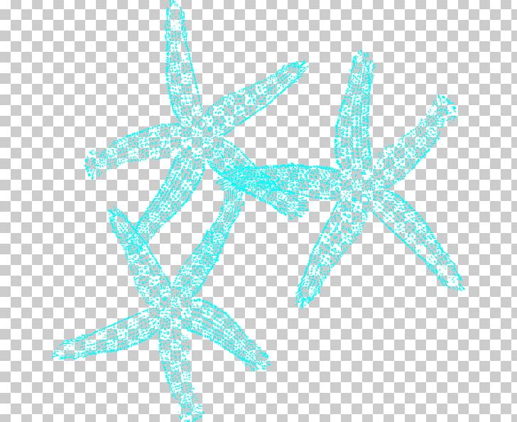 Starfish Turquoise Coral PNG, Clipart, Animals, Aqua, Clip Art, Coral, Echinoderm Free PNG Download