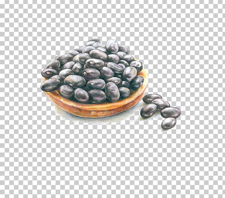 Blueberry Illustration PNG, Clipart, Background Black, Bean, Beans, Berry, Black Free PNG Download