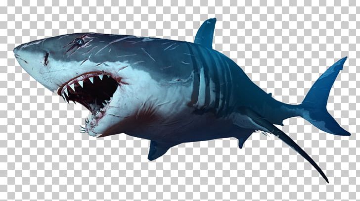 Shark Jaws PNG, Clipart, Animals, Carcharhiniformes, Cartilaginous Fish, Computer Icons, Document Free PNG Download