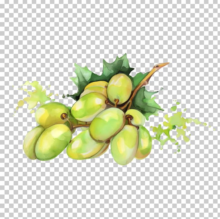 Watercolor Painting Fruit Drawing PNG, Clipart, Apple, Art, Auglis, Background Green, Berry Free PNG Download