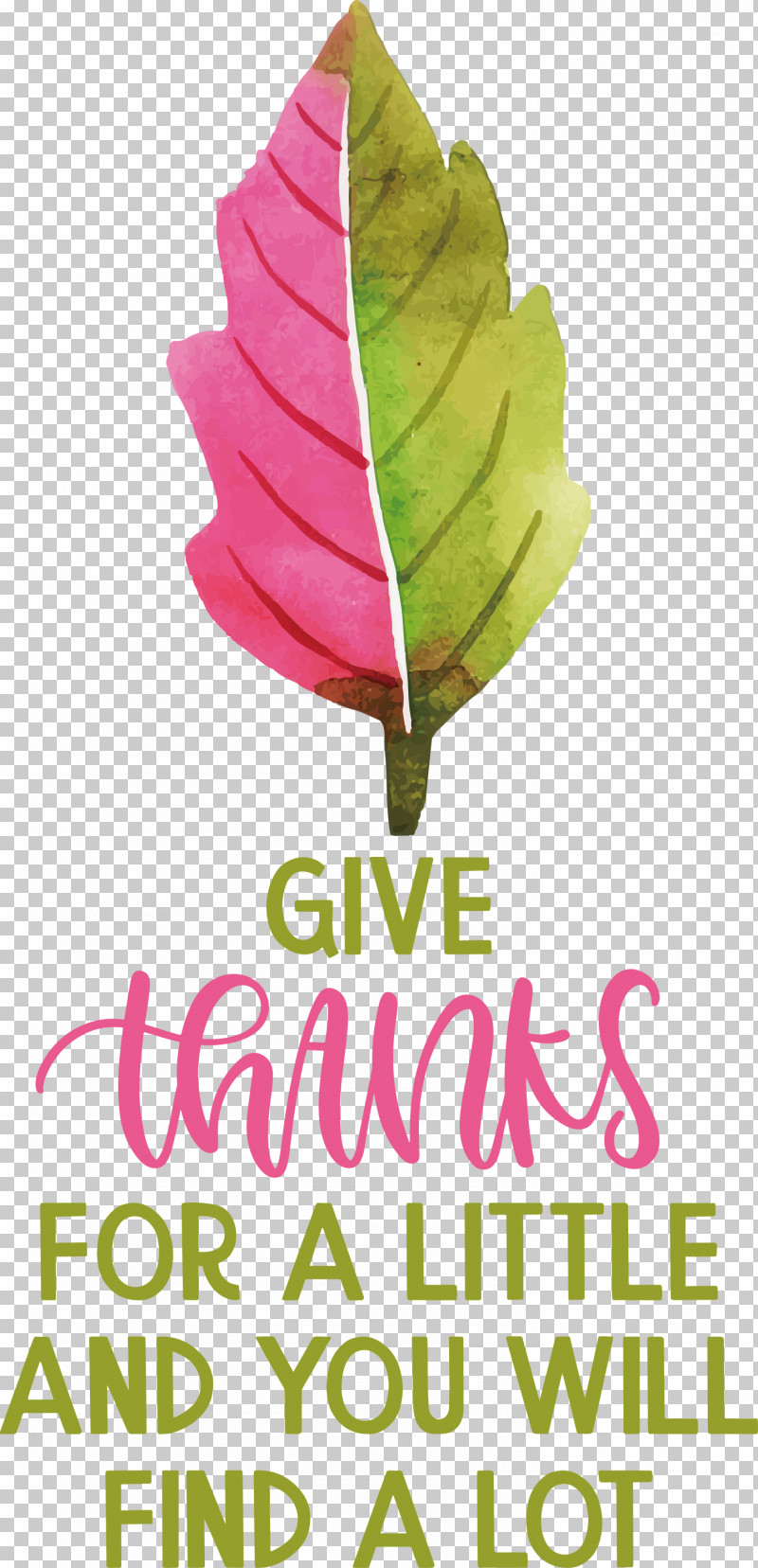 Give Thanks Thanksgiving PNG, Clipart, Biology, Flower, Give Thanks, Green, Leaf Free PNG Download