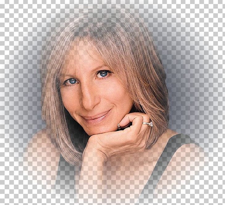 Barbra Streisand...and Other Musical Instruments Song Barbra Streisand...and Other Musical Instruments Actor PNG, Clipart,  Free PNG Download