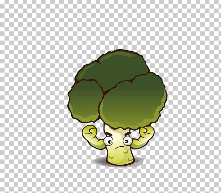Broccoli Cartoon Vegetable PNG, Clipart, Amphibian, Boy Cartoon, Cabbage, Carrot, Cartoon Alien Free PNG Download