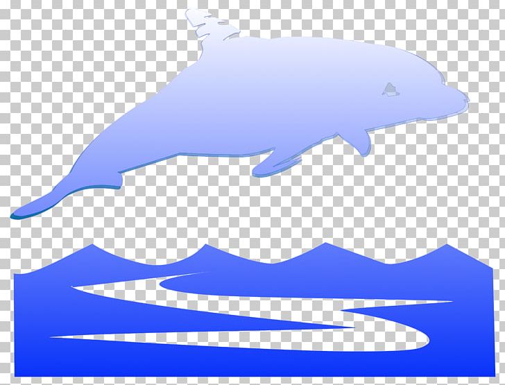 Common Bottlenose Dolphin Tucuxi Porpoise Marine Mammal PNG, Clipart, Animal, Animals, Blue, Bottlenose Dolphin, Cetacea Free PNG Download
