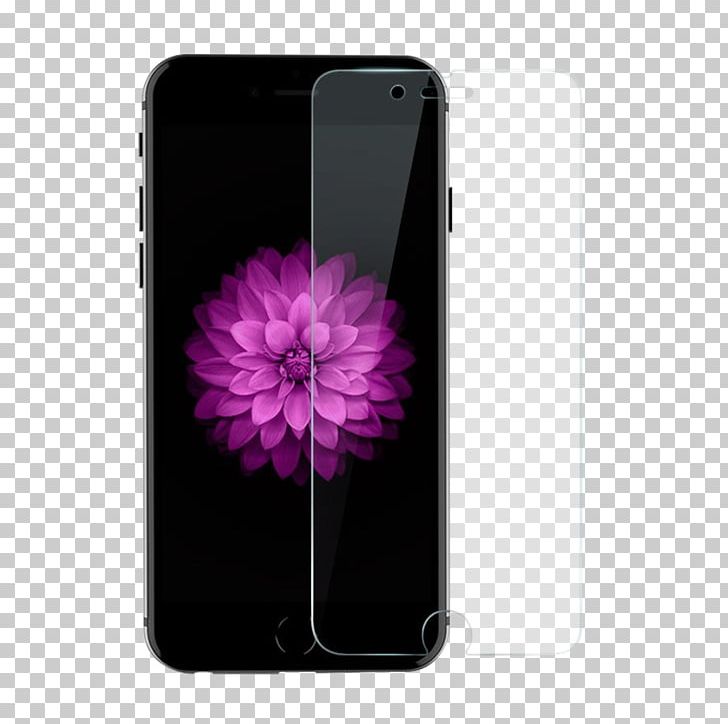 IPhone 6s Plus IPhone 8 IPhone 7 IPhone 6 Plus Screen Protectors PNG, Clipart, Apple, Computer Monitors, Flower, Force Touch, Fruit Nut Free PNG Download