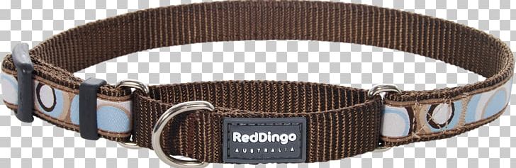 Dog Collar Dog Collar Dingo Leash PNG, Clipart, Belt, Belt Buckle, Cat, Collar, Dingo Free PNG Download