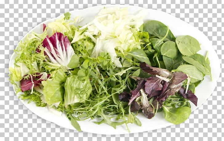 Greek Salad Caesar Salad Waldorf Salad Vegetarian Cuisine Romaine Lettuce PNG, Clipart, Caesar Salad, Dish, Food, Greek Cuisine, Greek Salad Free PNG Download