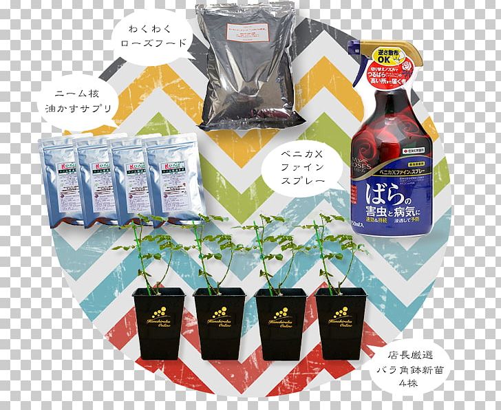 Hana Square Online (Ltd.) Horticulture Niwaki Lady Banks' Rose 苗木 PNG, Clipart,  Free PNG Download