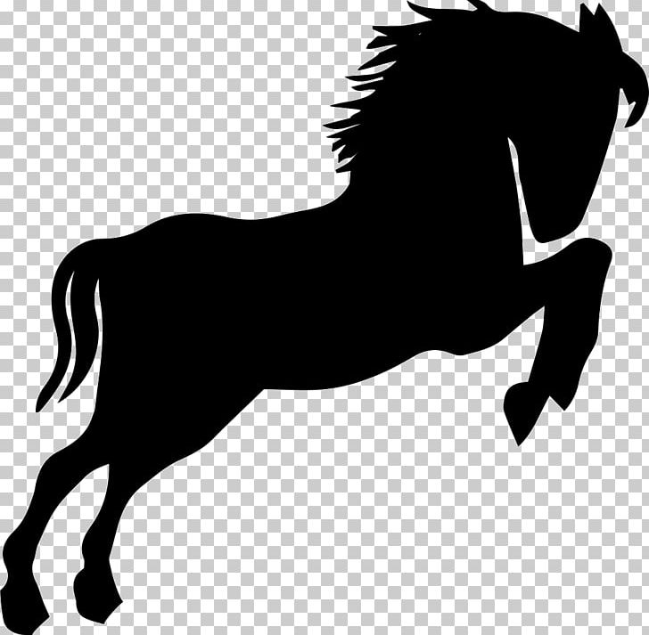 Horse PNG, Clipart, Animal, Animals, Black, Black And White, Bridle Free PNG Download