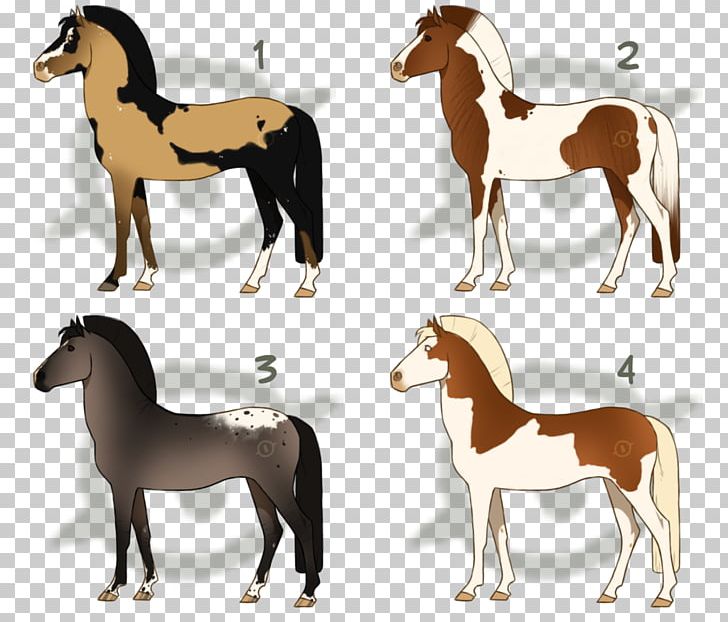 Mustang Pony Stallion Foal Mule PNG, Clipart, Animal Figure, Bay, Buckskin, Colt, Dun Locus Free PNG Download