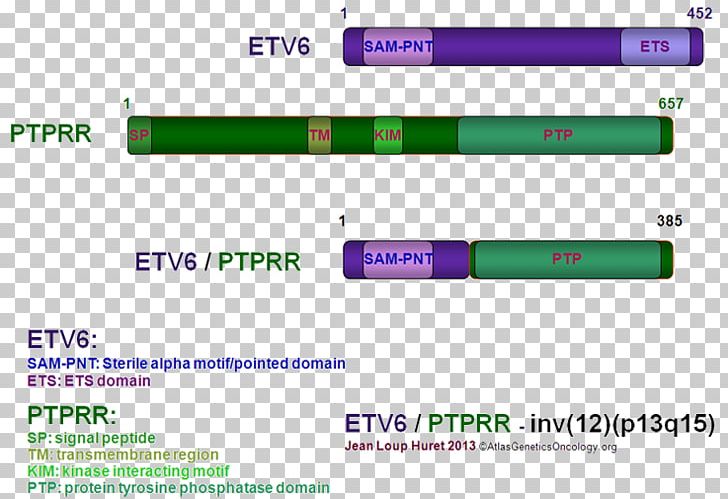 Technology Brand Line Font PNG, Clipart, Alternative Splicing, Brand, Electronics, Green, Line Free PNG Download