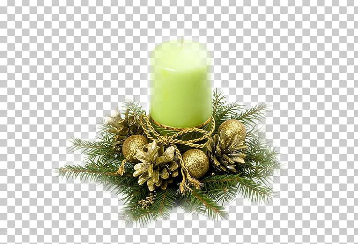 Vital-Waxing-Studio Körperhaarentfernung Facebook PNG, Clipart, Candle, Christmas Ornament, Conifer, Decor, Evergreen Free PNG Download