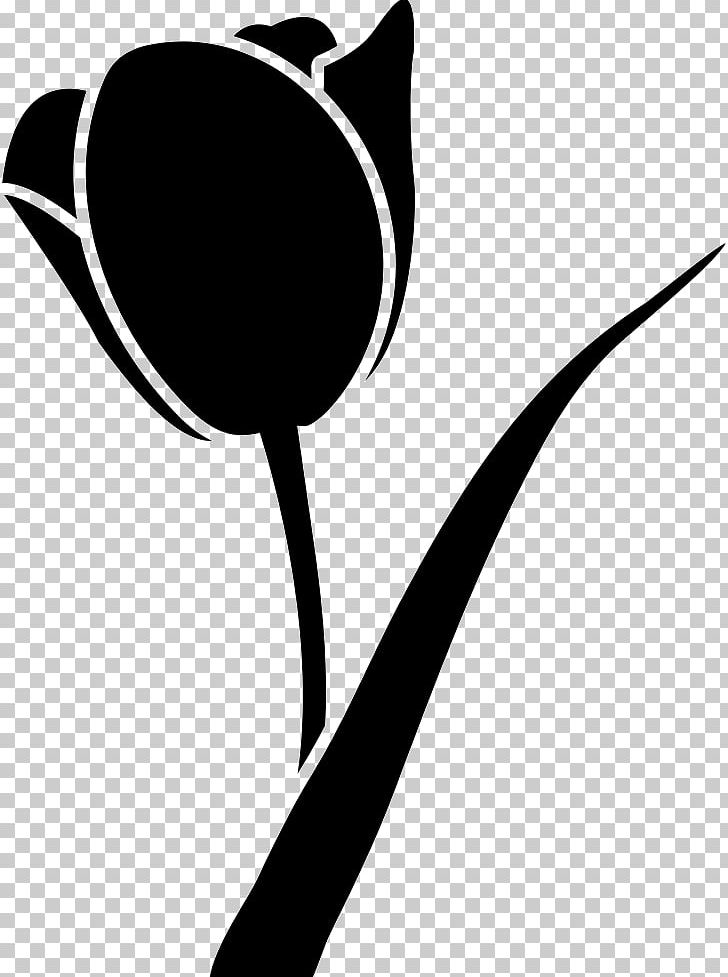 Shape Flower Petal Computer Icons PNG, Clipart, Art, Artwork, Black, Black And White, Cat Free PNG Download