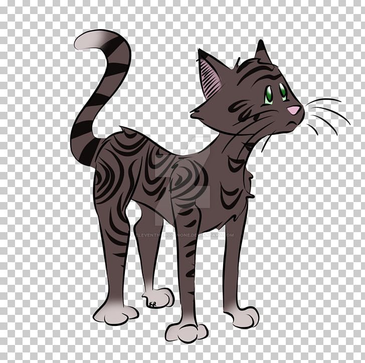 Whiskers Kitten Domestic Short-haired Cat Tabby Cat PNG, Clipart, Animals, Canidae, Carnivoran, Cat, Cat Like Mammal Free PNG Download