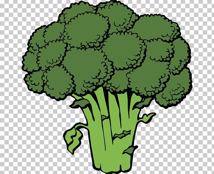 Broccoli Slaw Vegetable PNG, Clipart, Broccoli, Broccoli Slaw, Cauliflower, Cooking, Drawing Free PNG Download