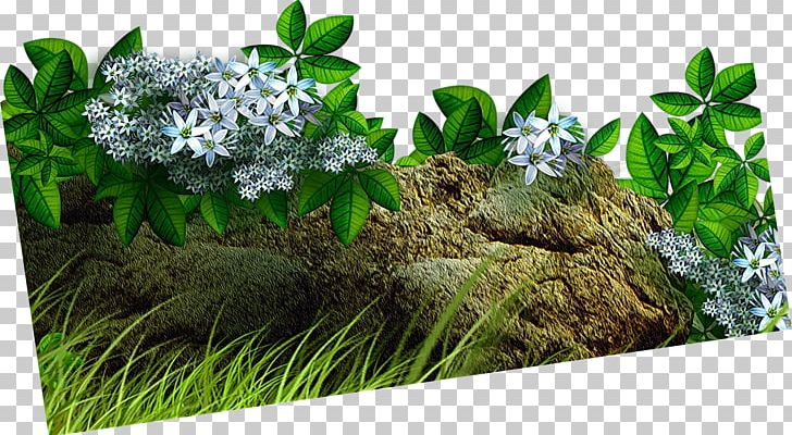 Flowerpot Plant Tree PNG, Clipart, Bird, Flora, Flower, Flowerpot, Grass Free PNG Download