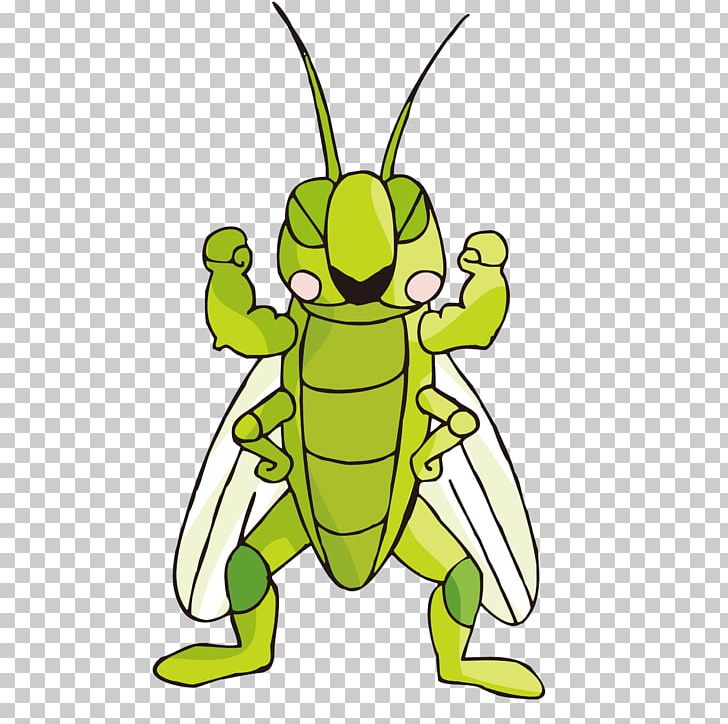 Insect Cartoon Illustration PNG, Clipart, Animal, Caelifera, Cricket, Cricket Vector, Cuteness Free PNG Download