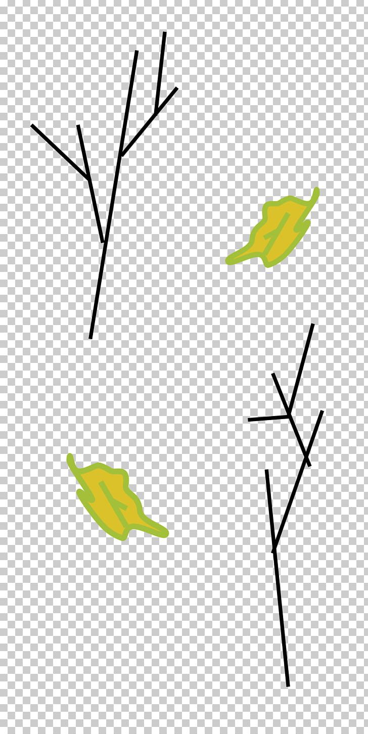 Branch Leaf Plant Stem PNG, Clipart, Angle, Area, Artwork, Beak, Branch Free PNG Download