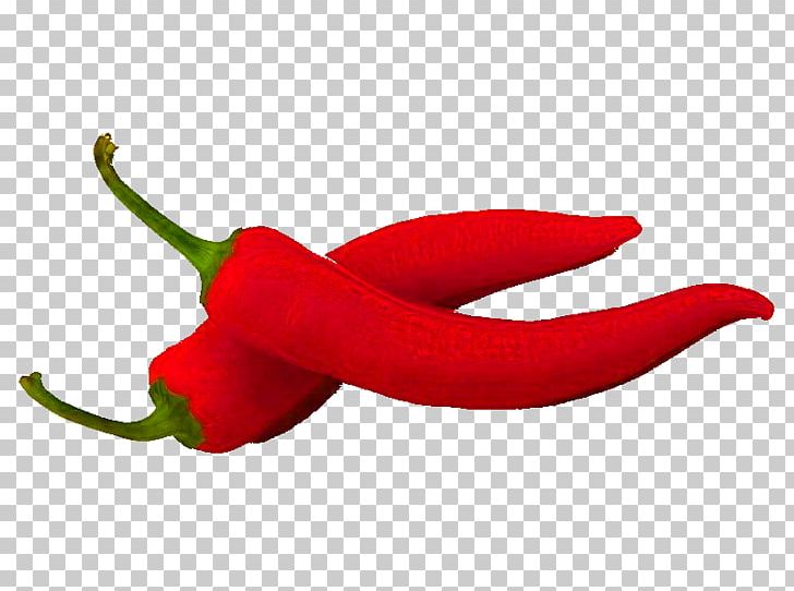 Habanero Bird's Eye Chili Tabasco Pepper Serrano Pepper Cayenne Pepper PNG, Clipart,  Free PNG Download