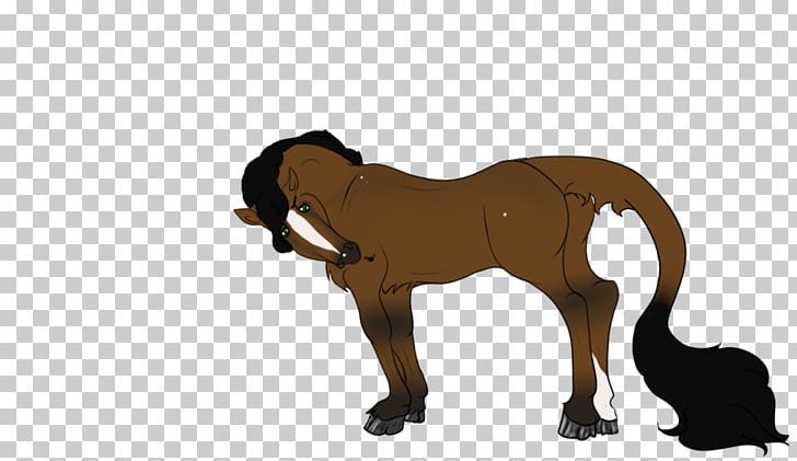 Mustang Foal Mane Stallion Cat PNG, Clipart, Big Cat, Big Cats, Canidae, Carnivoran, Cat Free PNG Download