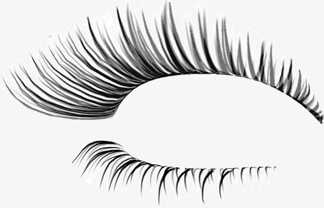 Thick Eyelashes Thin Holiday PNG, Clipart, Beauty, Beauty Product, Black Color, Close Up, Elegance Free PNG Download