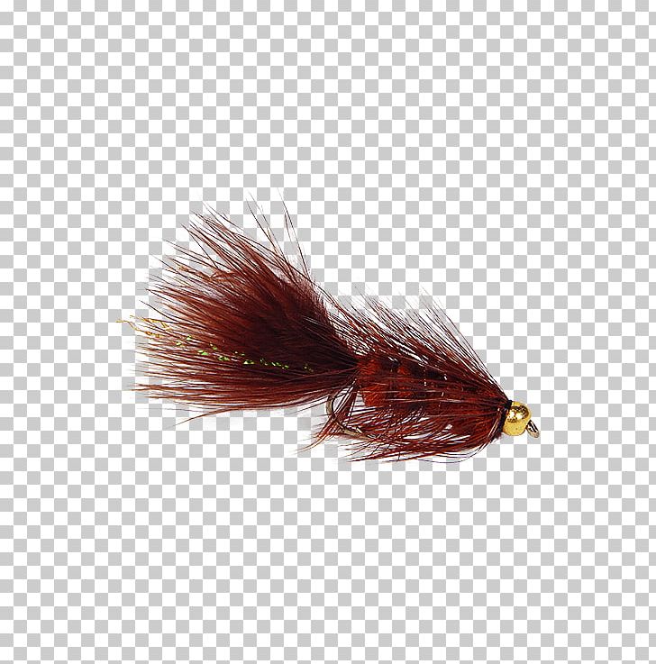 Woolly Bugger Artificial Fly Insect Fly Fishing PNG, Clipart, Artificial Fly, B H, Brn, Bugger, Fly Free PNG Download