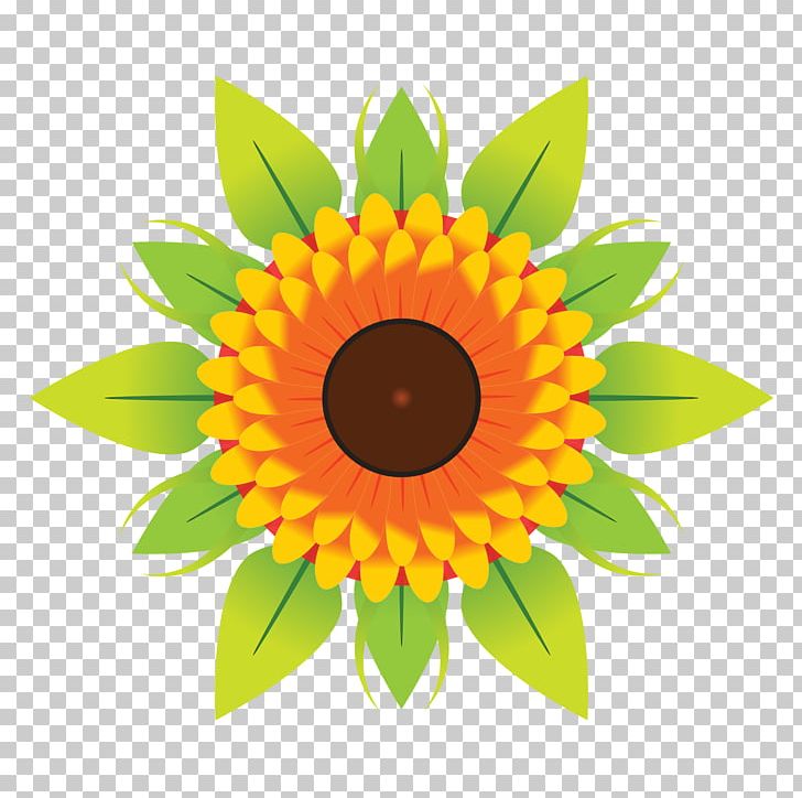 Flower PNG, Clipart, Cut Flowers, Daisy Family, Download, Encapsulated Postscript, Floral Design Free PNG Download
