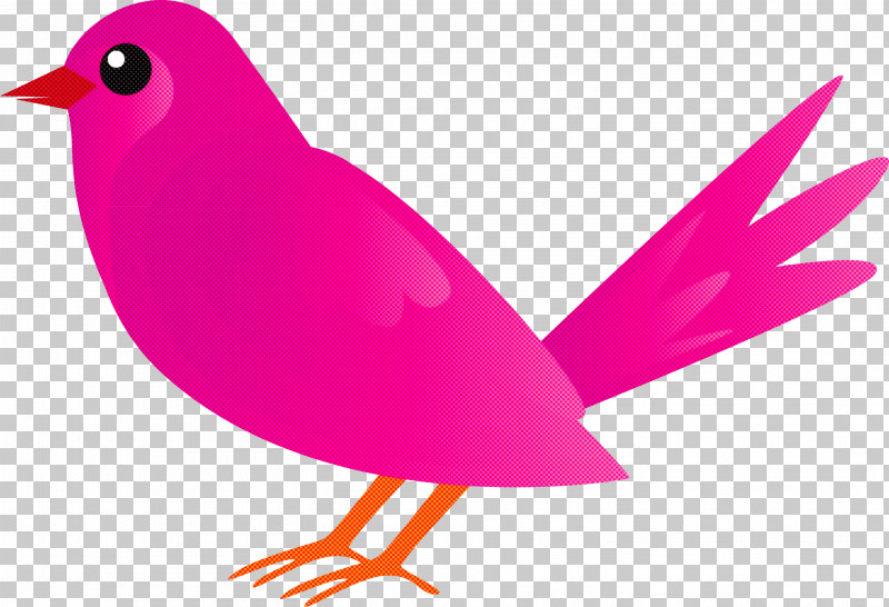 Bird Beak Pink Songbird Perching Bird PNG, Clipart, Beak, Bird, Magenta, Perching Bird, Pink Free PNG Download