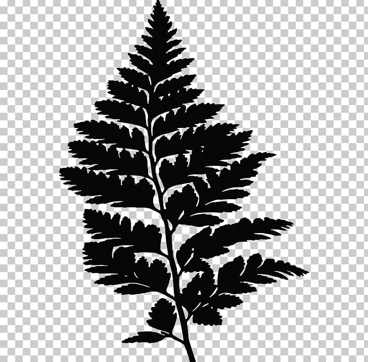 Christmas Fern Leaf Silhouette PNG, Clipart, Black And White, Branch, Fern, Frond, Leaf Free PNG Download