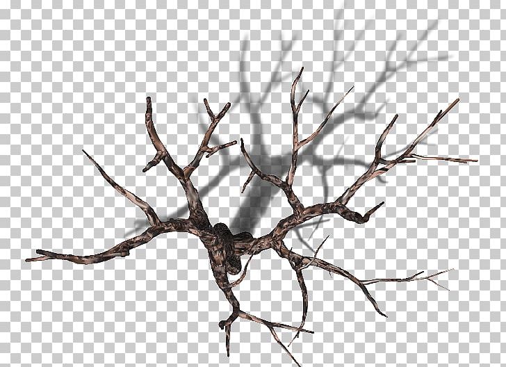 Tree Branch Plant Trunk PNG, Clipart, Branch, Branch Plant, Computer Software, Leaf, Mtree Free PNG Download